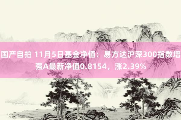 国产自拍 11月5日基金净值：易方达沪深300指数增强A最新净值0.8154，涨2.39%